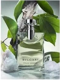 Bvlgari Pour Homme By Bvlgari For Men 3.4 oz EDP Spray